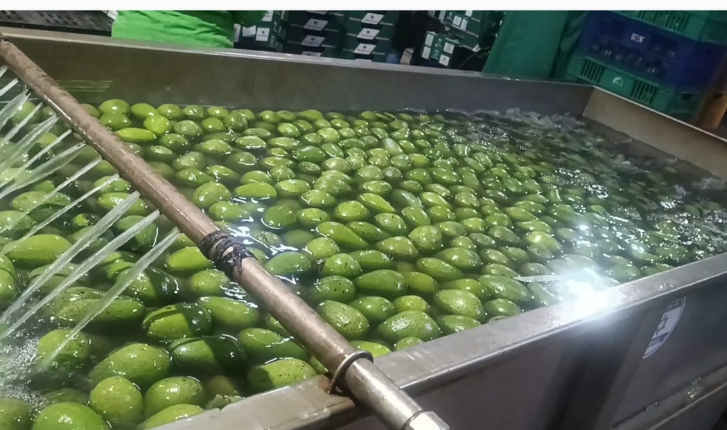 Beginning of machine processing - washing